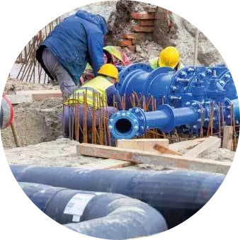 Personal altamente capacitado